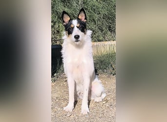 Gaton - freundlich und sozial