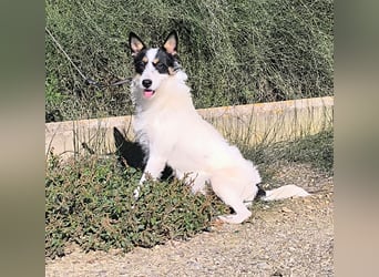 Gaton - freundlich und sozial