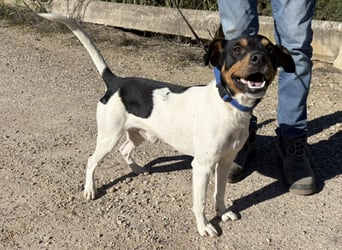 Yago - sozial und freundlich