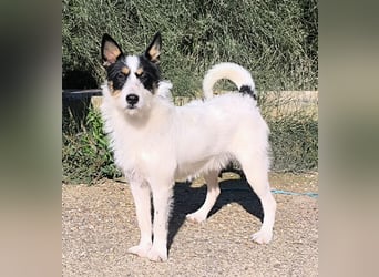 Gaton - freundlich und sozial