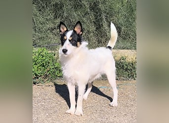 Gaton - freundlich und sozial