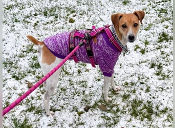 Frida sucht das Glück