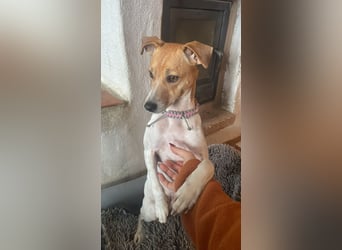 Frida sucht das Glück