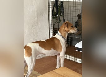 Frida sucht das Glück