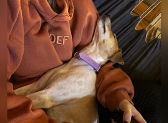 Frida sucht das Glück