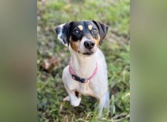 Luna - Sensible Begleiterin sucht Zuhause im Doppelpack