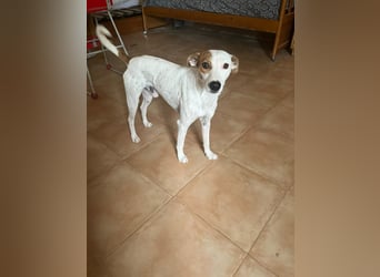 Lucky, wann bekommt er seine Chance?