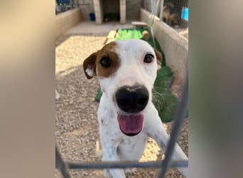 Lucky, wann bekommt er seine Chance?