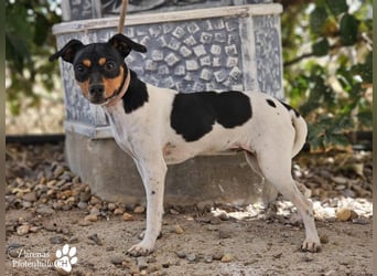 Heidi steckt voller Lebensfreude und Neugier