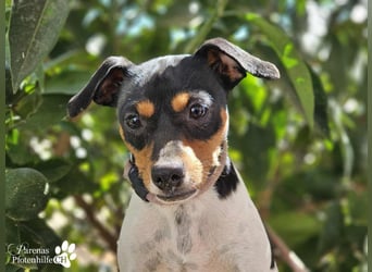 Heidi steckt voller Lebensfreude und Neugier