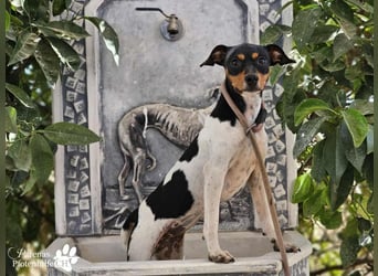 Heidi steckt voller Lebensfreude und Neugier