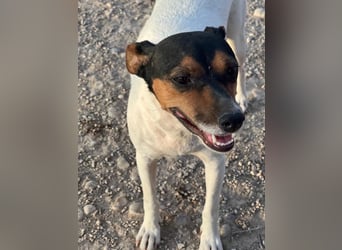 Pong, zurückhaltend aber sehr freundlich