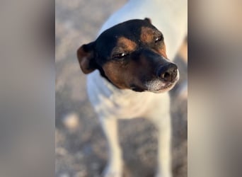 Pong, zurückhaltend aber sehr freundlich