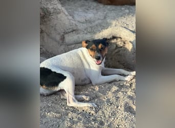 Pong, zurückhaltend aber sehr freundlich