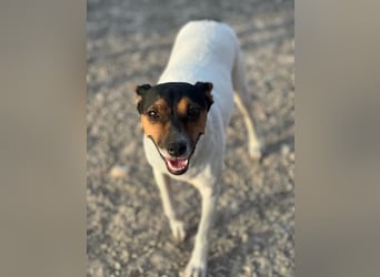 Pong, zurückhaltend aber sehr freundlich