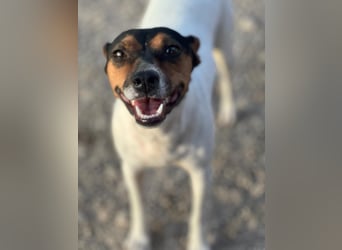 Pong, zurückhaltend aber sehr freundlich