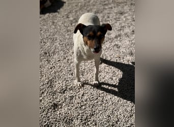 Pong, zurückhaltend aber sehr freundlich