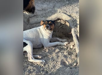 Pong, zurückhaltend aber sehr freundlich