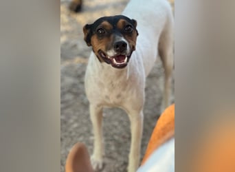 Pong, zurückhaltend aber sehr freundlich