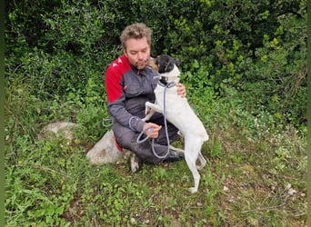 MERAN wünscht sich ganz viel Liebe