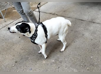 FIORELLA - SOS kleine Seniorin