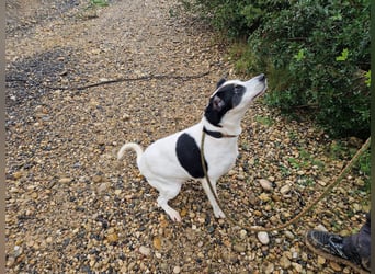 NOTFALL FIORELLA sucht Alterswohnsitz