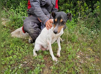MERAN wünscht sich ganz viel Liebe