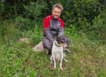 MERAN wünscht sich ganz viel Liebe