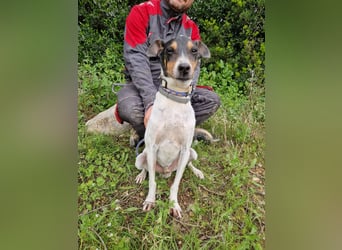 MERAN wünscht sich ganz viel Liebe