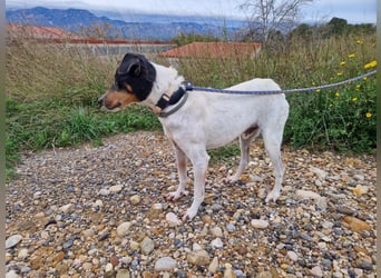 MERAN wünscht sich ganz viel Liebe