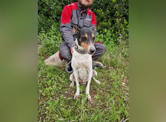 MERAN wünscht sich ganz viel Liebe