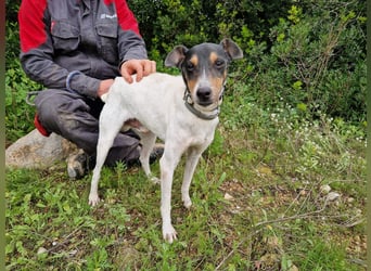 MERAN wünscht sich ganz viel Liebe