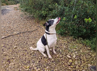 NOTFALL FIORELLA sucht Alterswohnsitz