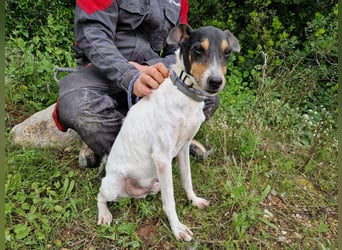 MERAN wünscht sich ganz viel Liebe