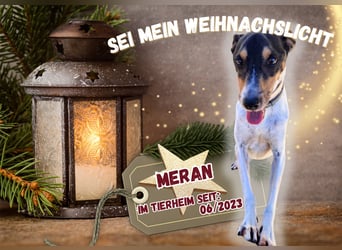 MERAN wünscht sich ganz viel Liebe
