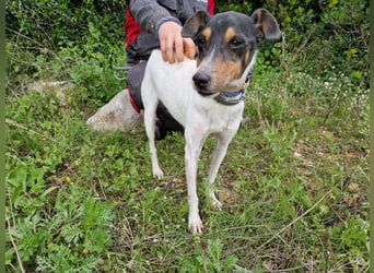 MERAN wünscht sich ganz viel Liebe