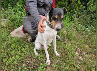 MERAN wünscht sich ganz viel Liebe