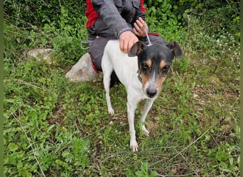 MERAN wünscht sich ganz viel Liebe