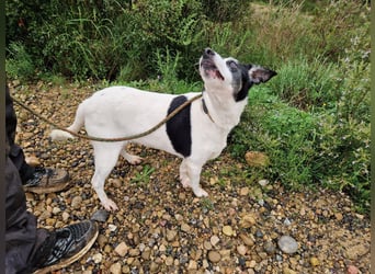 NOTFALL FIORELLA sucht Alterswohnsitz