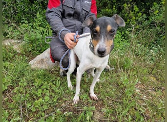 MERAN wünscht sich ganz viel Liebe