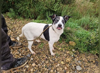 FIORELLA - SOS kleine Seniorin