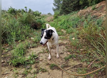 NOTFALL FIORELLA sucht Alterswohnsitz