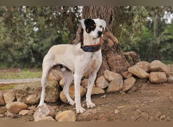 Möchtest du mit Bobs die Welt entdecken?