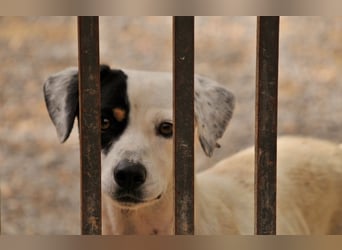 Möchtest du mit Bobs die Welt entdecken?