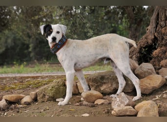 Möchtest du mit Bobs die Welt entdecken?