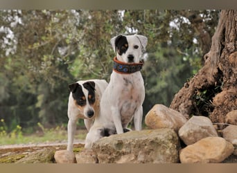 Möchtest du mit Bobs die Welt entdecken?