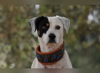 Möchtest du mit Bobs die Welt entdecken?