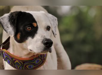 Möchtest du mit Bobs die Welt entdecken?