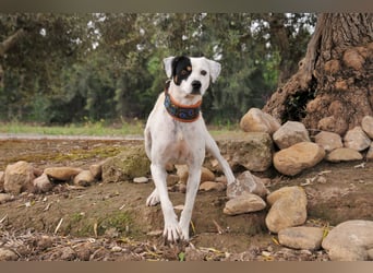 Möchtest du mit Bobs die Welt entdecken?