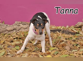 Darf Tanna bei dir ankommen und das Leben beginnen?